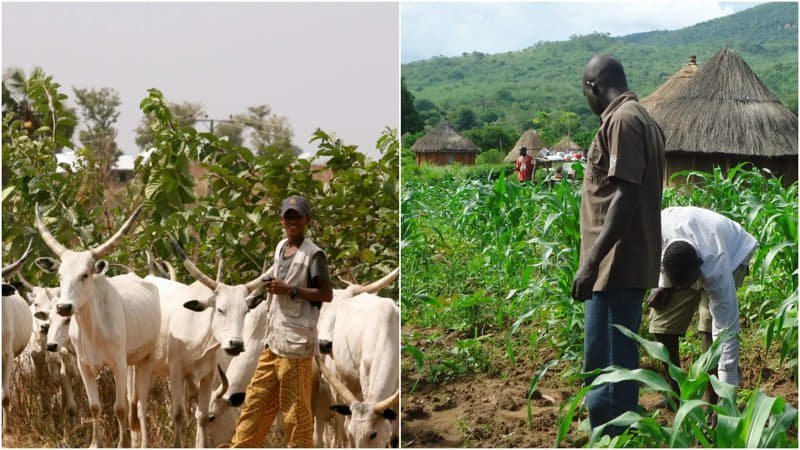 Taraba lawmaker says poor allocation of resources major cause of herder-farmer clashes